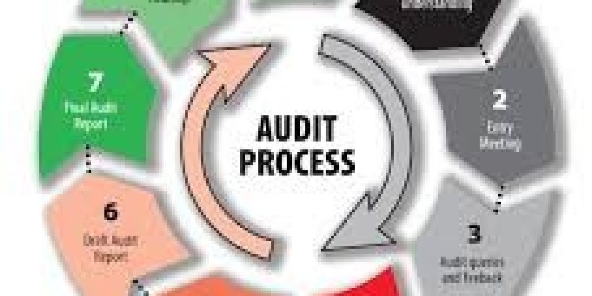 Auditor NZ: Key Insights into the Audit Profession in New Zealand