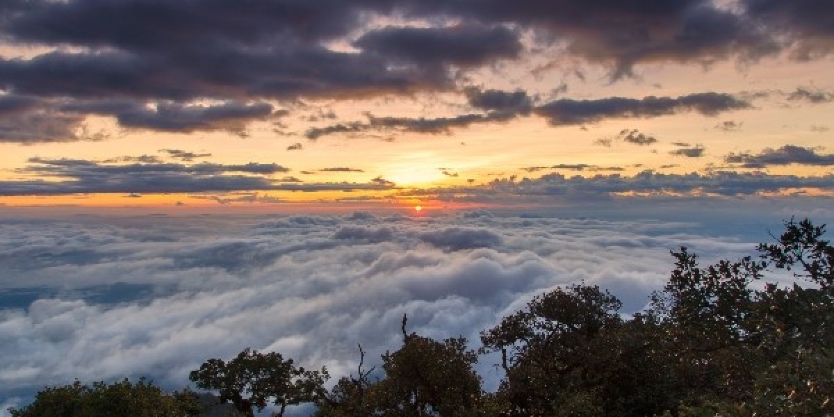 Skandagiri Sunrise Trek