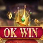 Okwin game login Profile Picture