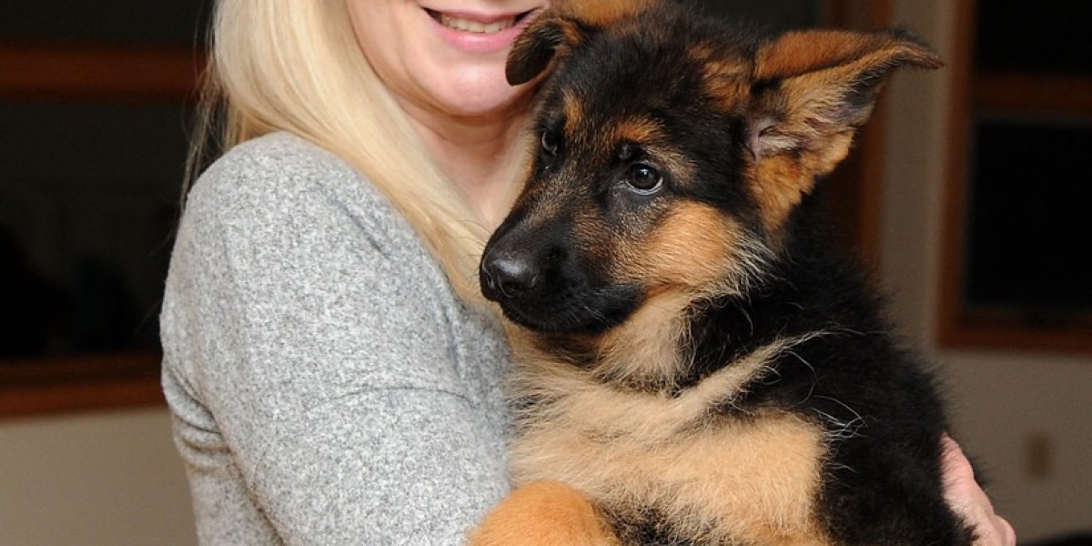 10 Mobile Apps That Are The Best For German Shepherd Puppies